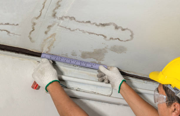 Reliable Mold Remediation contractor in North Sutton, NH by Water Damage Irwin